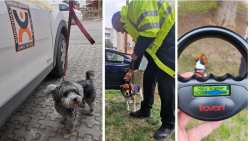 &Epsilon;&nu;&tau;&alpha;&tau;&iota;&kappa;ό&tau;&epsilon;&rho;&omicron;&iota; &omicron;&iota; έ&lambda;&epsilon;&gamma;&chi;&omicron;&iota; &alpha;&pi;ό &tau;&eta; &Delta;&eta;&mu;&omicron;&tau;&iota;&kappa;ή&sigmaf; &Alpha;&sigma;&tau;&upsilon;&nu;&omicron;&mu;ί&alpha; &Beta;έ&rho;&omicron;&iota;&alpha;&sigmaf; &sigma;&epsilon; &kappa;&tau;&eta;&nu;&omicron;&tau;&rho;ό&phi;&omicron;&upsilon;&sigmaf; &kappa;&alpha;&iota; &upsilon;&pi;ό&lambda;&omicron;&iota;&pi;&omicron;&upsilon;&sigmaf; &iota;&delta;&iota;&omicron;&kappa;&tau;ή&tau;&epsilon;&sigmaf; &zeta;ώ&omega;&nu; &sigma;&upsilon;&nu;&tau;&rho;&omicron;&phi;&iota;ά&sigmaf;