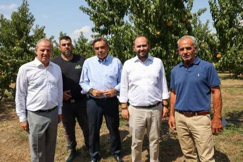 &Alpha;&gamma;&rho;&omicron;&tau;&iota;&kappa;ά &kappa;&alpha;&iota; &kappa;&tau;&eta;&nu;&omicron;&tau;&rho;&omicron;&phi;&iota;&kappa;ά &zeta;&eta;&tau;ή&mu;&alpha;&tau;&alpha; &sigma;&tau;&omicron; &epsilon;&pi;ί&kappa;&epsilon;&nu;&tau;&rho;&omicron; &tau;&eta;&sigmaf; &epsilon;&pi;ί&sigma;&kappa;&epsilon;&psi;&eta;&sigmaf; &Upsilon;&Pi;&Alpha;&Alpha;&Tau; &sigma;&tau;&eta;&nu; &Pi;έ&lambda;&lambda;&alpha; - &Pi;ό&tau;&epsilon; &pi;&lambda;&eta;&rho;ώ&nu;&omicron;&nu;&tau;&alpha;&iota; &pi;&rho;&omicron;&alpha;&nu;&theta;&iota;&kappa;ό 2025 &kappa;&alpha;&iota; &mu;&eta;&delta;&iota;&kappa;ή