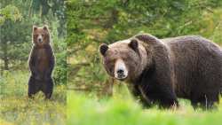 &Delta;&alpha;&sigma;&alpha;&rho;&chi;&epsilon;ί&omicron; &Beta;έ&rho;&omicron;&iota;&alpha;&sigmaf;: &Tau;&iota; &pi;&rho;έ&pi;&epsilon;&iota; &nu;&alpha; &kappa;ά&nu;&epsilon;&tau;&epsilon; &alpha;&nu; &sigma;&upsilon;&nu;&alpha;&nu;&tau;ή&sigma;&epsilon;&tau;&epsilon; &alpha;&rho;&kappa;&omicron;ύ&delta;&alpha;