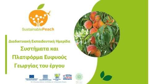 &Epsilon;&kappa;&pi;&alpha;&iota;&delta;&epsilon;&upsilon;&tau;&iota;&kappa;ή &Eta;&mu;&epsilon;&rho;ί&delta;&alpha; &tau;&omicron;&upsilon; έ&rho;&gamma;&omicron;&upsilon; Sustainable Peach | &Alpha;&gamma;&rho;&omicron;&tau;&iota;&kappa;ά &nu;έ&alpha; &kappa;&alpha;&iota; &epsilon;&iota;&delta;ή&sigma;&epsilon;&iota;&sigmaf; imathiotikigi.gr
