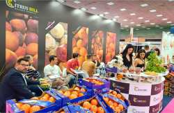 &Mu;&epsilon; &mu;&epsilon;&gamma;ά&lambda;&eta; &epsilon;&pi;&iota;&tau;&upsilon;&chi;ί&alpha; &sigma;&tau;έ&phi;&theta;&eta;&kappa;&epsilon; &eta; &sigma;&upsilon;&mu;&mu;&epsilon;&tau;&omicron;&chi;ή &tau;&eta;&sigmaf; &epsilon;&tau;&alpha;&iota;&rho;&epsilon;ί&alpha;&sigmaf; CITRUS BILL &sigma;&tau;&eta;&nu; Freskon 2024