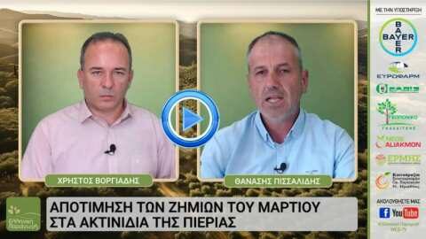 &Delta;&epsilon;ί&tau;&epsilon; LIVE &tau;&eta;&nu; &epsilon;&kappa;&pi;&omicron;&mu;&pi;ή "&Epsilon;&Lambda;&Lambda;&Eta;&Nu;&Iota;&Kappa;&Eta; &Pi;&Alpha;&Rho;&Alpha;&Gamma;&Omega;&Gamma;&Eta;" -  Ό&sigma;&alpha; &theta;&alpha; &theta;έ&lambda;&alpha;&tau;&epsilon; &nu;&alpha; &mu;ά&theta;&epsilon;&tau;&epsilon; &gamma;&iota;&alpha; &tau;&omicron; &epsilon;&lambda;&lambda;&eta;&nu;&iota;&kappa;ό &alpha;&kappa;&tau;&iota;&nu;ί&delta;&iota;&omicron;