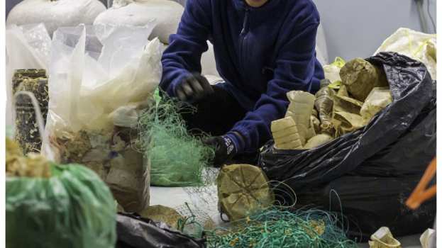 &Eta; OCEANZYME &delta;&iota;&epsilon;&rho;&epsilon;&upsilon;&nu;ά &nu;έ&epsilon;&sigmaf; &epsilon;&nu;&zeta;&upsilon;&mu;&alpha;&tau;&iota;&kappa;έ&sigmaf; &lambda;ύ&sigma;&epsilon;&iota;&sigmaf; &alpha;&nu;&alpha;&kappa;ύ&kappa;&lambda;&omega;&sigma;&eta;&sigmaf; &gamma;&iota;&alpha; &theta;&alpha;&lambda;ά&sigma;&sigma;&iota;&alpha; &alpha;&pi;&omicron;&rho;&rho;ί&mu;&mu;&alpha;&tau;&alpha;