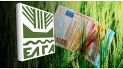 &Upsilon;&Pi;&Alpha;&Alpha;&Tau;: &Kappa;&alpha;&tau;&alpha;&beta;&omicron;&lambda;ή &alpha;&pi;&omicron;&zeta;&eta;&mu;&iota;ώ&sigma;&epsilon;&omega;&nu; &mu;ό&nu;&omicron; &sigma;&epsilon; &pi;&alpha;&rho;&alpha;&gamma;&omega;&gamma;&omicron;ύ&sigmaf; &pi;&omicron;&upsilon; έ&chi;&omicron;&upsilon;&nu; &upsilon;&pi;&omicron;&sigma;&tau;&epsilon;ί &zeta;&eta;&mu;&iota;ά