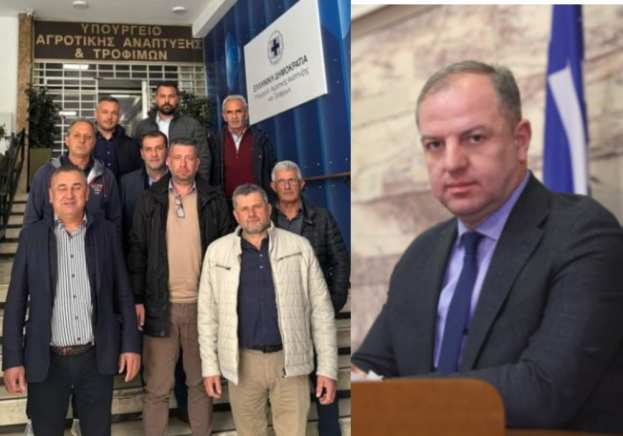 &Epsilon;&nu;&iota;&sigma;&chi;ύ&sigma;&epsilon;&iota;&sigmaf; &alpha;&gamma;&rho;&omicron;&tau;ώ&nu;: &Tau;&iota; &epsilon;&iota;&pi;ώ&theta;&eta;&kappa;&epsilon; &sigma;&tau;&eta; &sigma;&upsilon;&nu;ά&nu;&tau;&eta;&sigma;&eta; &delta;&epsilon;&nu;&delta;&rho;&omicron;&kappa;&alpha;&lambda;&lambda;&iota;&epsilon;&rho;&gamma;&eta;&tau;ώ&nu; &mu;&epsilon; &Sigma;&tau;&alpha;&mu;&epsilon;&nu;ί&tau;&eta;