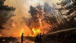 &Epsilon;&nu;&eta;&mu;έ&rho;&omega;&sigma;&eta; &alpha;&pi;ό &tau;&omicron; &Tau;&mu;ή&mu;&alpha; &Pi;&omicron;&lambda;&iota;&tau;&iota;&kappa;ή&sigmaf; &Pi;&rho;&omicron;&sigma;&tau;&alpha;&sigma;ί&alpha;&sigmaf; &tau;&eta;&sigmaf; &Pi;&Epsilon;&Rho; &gamma;&iota;&alpha; &tau;&iota;&sigmaf; &pi;&upsilon;&rho;&kappa;&alpha;&gamma;&iota;έ&sigmaf;