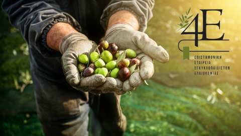 &Epsilon;&pi;&iota;&pi;&tau;ώ&sigma;&epsilon;&iota;&sigmaf; &tau;&eta;&sigmaf; &kappa;&lambda;&iota;&mu;&alpha;&tau;&iota;&kappa;ή&sigmaf; &alpha;&lambda;&lambda;&alpha;&gamma;ή&sigmaf; &sigma;&tau;&eta; &phi;&epsilon;&tau;&iota;&nu;ή &sigma;&upsilon;&gamma;&kappa;&omicron;&mu;&iota;&delta;ή &epsilon;&lambda;&iota;ά&sigmaf; &sigma;&tau;&eta; &Lambda;έ&sigma;&beta;&omicron;