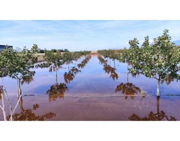 &Sigma;&epsilon; &lambda;&epsilon;&iota;&tau;&omicron;&upsilon;&rho;&gamma;ί&alpha; &xi;&alpha;&nu;ά &eta; &tau;&eta;&lambda;&epsilon;&phi;&omega;&nu;&iota;&kappa;ή &gamma;&rho;&alpha;&mu;&mu;ή &tau;&omicron;&upsilon; &Epsilon;&Lambda;&Gamma;&Alpha; &sigma;&tau;&eta; &Lambda;ά&rho;&iota;&sigma;&alpha;, &epsilon;&nu; ό&psi;&epsilon;&iota; &tau;&eta; &epsilon;&xi;ό&phi;&lambda;&eta;&sigma;&eta;&sigmaf; &tau;&omega;&nu; &alpha;&pi;&omicron;&zeta;&eta;&mu;&iota;ώ&sigma;&epsilon;&omega;&nu;