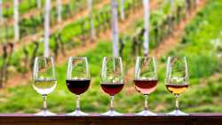 &Kappa;&Epsilon;&Omicron;&Sigma;&Omicron;&Epsilon;: &Mu;&iota;&kappa;&rho;ή &sigma;&upsilon;&gamma;&kappa;&omicron;&mu;&iota;&delta;ή &sigma;&tau;&eta;&nu; &Iota;&tau;&alpha;&lambda;ί&alpha; &kappa;&alpha;&iota; &mu;&epsilon;&gamma;ά&lambda;&omicron;&iota; &kappa;ί&nu;&delta;&upsilon;&nu;&omicron;&iota;: &laquo;&omicron;&rho;&iota;&sigma;&mu;έ&nu;&omicron;&iota; &sigma;&upsilon;&nu;&epsilon;&tau;&alpha;&iota;&rho;&iota;&sigma;&mu;&omicron;ί &mu;&pi;&omicron;&rho;&epsilon;ί &nu;&alpha; &epsilon;&xi;&alpha;&phi;&alpha;&nu;&iota;&sigma;&tau;&omicron;ύ&nu;&raquo;