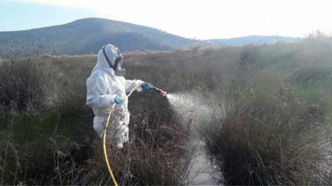 &Delta;ή&mu;&omicron;&sigmaf; &Beta;έ&rho;&omicron;&iota;&alpha;&sigmaf;: &Psi;&epsilon;&kappa;&alpha;&sigma;&mu;ό&sigmaf; &alpha;&pi;ό&psi;&epsilon; &tau;&omicron; &beta;&rho;ά&delta;&upsilon; &sigma;&tau;&eta;&nu; &Tau;.&Kappa;. &Kappa;&omicron;&upsilon;&lambda;&omicron;ύ&rho;&alpha;&sigmaf; &gamma;&iota;&alpha; &tau;&eta;&nu; &alpha;&nu;&tau;&iota;&mu;&epsilon;&tau;ώ&pi;&iota;&sigma;&eta; &tau;&omega;&nu; &alpha;&kappa;&mu;&alpha;ί&omega;&nu; &kappa;&omicron;&upsilon;&nu;&omicron;&upsilon;&pi;&iota;ώ&nu;