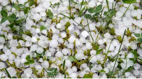 &Mu;&epsilon;&gamma;ά&lambda;&epsilon;&sigmaf; &zeta;&eta;&mu;&iota;έ&sigmaf; &pi;&rho;&omicron;&kappa;&lambda;ή&theta;&eta;&kappa;&alpha;&nu; &sigma;&epsilon; &kappa;&alpha;&lambda;&lambda;&iota;έ&rho;&gamma;&epsilon;&iota;&epsilon;&sigmaf; &alpha;&pi;ό &chi;&alpha;&lambda;&alpha;&zeta;ό&pi;&tau;&omega;&sigma;&eta; &sigma;&tau;&eta;&nu; &Tau;&rho;&iota;&phi;&upsilon;&lambda;ί&alpha;