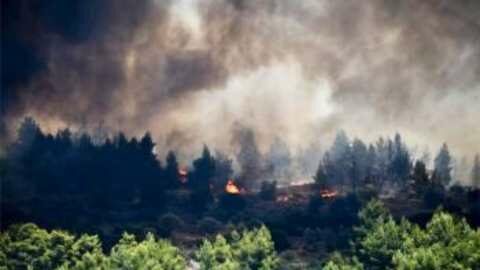 &Kappa;&lambda;&iota;&mu;ά&kappa;&iota;&alpha; &tau;&omicron;&upsilon; &Epsilon;&Lambda;&Gamma;&Alpha; &sigma;&tau;&eta;&nu; &pi;&upsilon;&rho;ό&pi;&lambda;&eta;&kappa;&tau;&eta; &Kappa;&omicron;&rho;&iota;&nu;&theta;ί&alpha; &gamma;&iota;&alpha; &alpha;&pi;&omicron;&tau;ί&mu;&eta;&sigma;&eta; &tau;&omega;&nu; &zeta;&eta;&mu;&iota;ώ&nu;