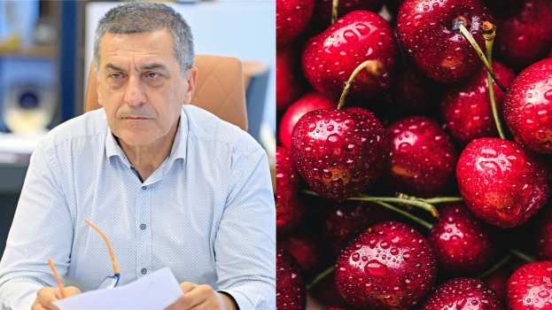 &Nu;&alpha; &alpha;&pi;&omicron;&zeta;&eta;&mu;&iota;&omega;&theta;&omicron;ύ&nu; &omicron;&iota; &kappa;&epsilon;&rho;&alpha;&sigma;&omicron;&pi;&alpha;&rho;&alpha;&gamma;&omega;&gamma;&omicron;ί &tau;&eta;&sigmaf; &Pi;.&Epsilon;. &Lambda;ά&rho;&iota;&sigma;&alpha;&sigmaf; &gamma;&iota;&alpha; &tau;&omicron;&nu; &pi;&alpha;&gamma;&epsilon;&tau;ό &tau;&omicron;&upsilon; 2025 &sigma;&tau;&omicron; &pi;&rho;&omicron;&alpha;&nu;&theta;&iota;&kappa;ό &sigma;&tau;ά&delta;&iota;&omicron; - &Epsilon;&pi;&iota;&sigma;&tau;&omicron;&lambda;ή &Kappa;&omicron;&upsilon;&rho;έ&tau;&alpha; &sigma;&epsilon; &Tau;&sigma;&iota;ά&rho;&alpha;