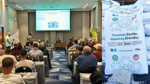 &Eta; &epsilon;&pi;ί&delta;&rho;&alpha;&sigma;&eta; &tau;&omicron;&upsilon; &Theta;&rho;&alpha;&kappa;&iota;&kappa;&omicron;ύ &Zeta;&epsilon;ό&lambda;&iota;&theta;&omicron;&upsilon; &sigma;&tau;&eta; &beta;&iota;ώ&sigma;&iota;&mu;&eta; &alpha;&mu;&pi;&epsilon;&lambda;&omicron;&upsilon;&rho;&gamma;ί&alpha;