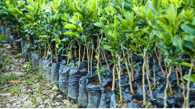 "&Phi;&upsilon;&tau;&omicron;ϋ&gamma;&epsilon;ί&alpha;" : &Kappa;ά&lambda;&epsilon;&sigma;&mu;&alpha; &Pi;&Kappa;&Mu; &gamma;&iota;&alpha; &epsilon;&gamma;&gamma;&rho;&alpha;&phi;ή &sigma;&tau;&omicron; &epsilon;&pi;ί&sigma;&eta;&mu;&omicron; &mu;&eta;&tau;&rho;ώ&omicron; &epsilon;&pi;&alpha;&gamma;&gamma;&epsilon;&lambda;&mu;&alpha;&tau;&iota;ώ&nu; - &upsilon;&pi;&epsilon;ύ&theta;&upsilon;&nu;&omega;&nu; &epsilon;&pi;&iota;&chi;&epsilon;&iota;&rho;ή&sigma;&epsilon;&omega;&nu;