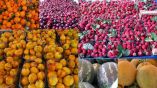 &Upsilon;&pi;&omicron;&chi;&rho;&epsilon;ώ&sigma;&epsilon;&iota;&sigmaf; &alpha;&gamma;&rho;&omicron;&tau;ώ&nu; &amp; &epsilon;&mu;&pi;ό&rho;&omega;&nu; &kappa;&alpha;&tau;ά &tau;&eta;&nu; &epsilon;&xi;ό&phi;&lambda;&eta;&sigma;&eta; &tau;&iota;&mu;&omicron;&lambda;&omicron;&gamma;ί&omega;&nu; - &laquo;&Psi;&eta;&phi;&iota;&alpha;&kappa;ή &pi;&lambda;&alpha;&tau;&phi;ό&rho;&mu;&alpha;&raquo; (&Nu;. 4492/2017) &ndash; 12 &epsilon;&pi;&iota;&sigma;&eta;&mu;ά&nu;&sigma;&epsilon;&iota;&sigmaf;