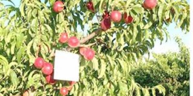 &Delta;&iota;&epsilon;&upsilon;&kappa;&rho;ί&nu;&iota;&sigma;&eta; &sigma;&chi;&epsilon;&tau;&iota;&kappa;ά &mu;&epsilon; &tau;&eta;&nu; &Upsilon;&pi;&omicron;&beta;&omicron;&lambda;ή &Pi;&alpha;&rho;&alpha;&sigma;&tau;&alpha;&tau;&iota;&kappa;ώ&nu; &Mu;έ&tau;&rho;&omicron;&upsilon; 10.1.08 &tau;&omicron;&upsilon; &Pi;.&Alpha;.&Alpha;. 2014-2020 - "&Epsilon;&phi;&alpha;&rho;&mu;&omicron;&gamma;ή &tau;&eta;&sigmaf; &mu;&epsilon;&theta;ό&delta;&omicron;&upsilon; &sigma;&epsilon;&xi;&omicron;&upsilon;&alpha;&lambda;&iota;&kappa;ή&sigmaf; &sigma;ύ&gamma;&chi;&upsilon;&sigma;&eta;&sigmaf; &tau;&omega;&nu; &mu;&iota;&kappa;&rho;&omicron;&lambda;&epsilon;&pi;&iota;&delta;&omicron;&pi;&tau;&epsilon;&rho;&omega;&nu; (&Kappa;&omicron;&mu;&phi;&omicron;ύ&zeta;&iota;&omicron;)"