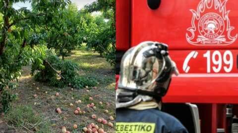 &Zeta;&eta;&mu;&iota;έ&sigmaf; &pi;&rho;&omicron;&kappa;ά&lambda;&epsilon;&sigma;&alpha;&nu; &omicron;&iota; &iota;&sigma;&chi;&upsilon;&rho;&omicron;ί ά&nu;&epsilon;&mu;&omicron;&iota; &sigma;&tau;&eta;&nu; &Eta;&mu;&alpha;&theta;ί&alpha;