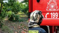 &Zeta;&eta;&mu;&iota;έ&sigmaf; &pi;&rho;&omicron;&kappa;ά&lambda;&epsilon;&sigma;&alpha;&nu; &omicron;&iota; &iota;&sigma;&chi;&upsilon;&rho;&omicron;ί ά&nu;&epsilon;&mu;&omicron;&iota; &sigma;&tau;&eta;&nu; &Eta;&mu;&alpha;&theta;ί&alpha;