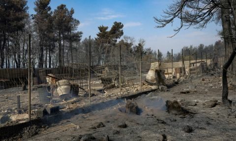 &Pi;ό&tau;&epsilon; &theta;&alpha; &alpha;&pi;&omicron;&zeta;&eta;&mu;&iota;&omega;&theta;&omicron;ύ&nu; &omicron;&iota; &alpha;&gamma;&rho;ό&tau;&epsilon;&sigmaf; &gamma;&iota;&alpha; &tau;&iota;&sigmaf; &kappa;&alpha;&tau;&epsilon;&sigma;&tau;&rho;&alpha;&mu;&mu;έ&nu;&epsilon;&sigmaf; &kappa;&alpha;&lambda;&lambda;&iota;έ&rho;&gamma;&epsilon;&iota;&epsilon;&sigmaf; &alpha;&pi;ό &tau;&eta;&nu; &kappa;&alpha;&tau;&alpha;&sigma;&tau;&rho;&omicron;&phi;&iota;&kappa;ή &phi;&omega;&tau;&iota;ά &sigma;&tau;&eta;&nu; &Epsilon;ύ&beta;&omicron;&iota;&alpha;