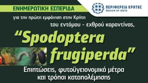 &Epsilon;&nu;&eta;&mu;&epsilon;&rho;&omega;&tau;&iota;&kappa;έ&sigmaf; &epsilon;&kappa;&delta;&eta;&lambda;ώ&sigma;&epsilon;&iota;&sigmaf; &alpha;&pi;ό &tau;&eta;&nu; &Pi;&epsilon;&rho;&iota;&phi;έ&rho;&epsilon;&iota;&alpha; &Kappa;&rho;ή&tau;&eta;&sigmaf; &gamma;&iota;&alpha; &tau;&eta;&nu; &pi;&rho;ώ&tau;&eta; &epsilon;&mu;&phi;ά&nu;&iota;&sigma;&eta; &tau;&omicron;&upsilon; &epsilon;&nu;&tau;ό&mu;&omicron;&upsilon; &ndash; &epsilon;&chi;&theta;&rho;&omicron;ύ &kappa;&alpha;&rho;&alpha;&nu;&tau;ί&nu;&alpha;&sigmaf; &laquo;Spodoptera fruigipedra&raquo;