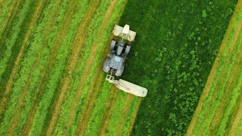 &Pi;&Omicron;&Gamma;&Epsilon;&Delta;&Upsilon;: &Alpha;&pi;ό &tau;&omicron; &phi;&iota;ά&sigma;&kappa;&omicron; &tau;&omicron;&upsilon; Agrisnap &sigma;&tau;&omicron; Gov Agri-Wallet