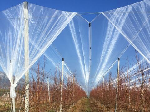 &Tau;&omicron;&upsilon;&lambda;ά&chi;&iota;&sigma;&tau;&omicron;&nu; 15 &epsilon;&kappa;&alpha;&tau;&omicron;&mu;&mu;ύ&rho;&iota;&alpha; &epsilon;&upsilon;&rho;ώ &gamma;&iota;&alpha; &epsilon;&pi;&epsilon;&nu;&delta;ύ&sigma;&epsilon;&iota;&sigmaf; &pi;&rho;&omicron;&sigma;&tau;&alpha;&sigma;ί&alpha;&sigmaf; &alpha;&pi;ό &tau;&alpha; έ&nu;&tau;&omicron;&nu;&alpha; &kappa;&alpha;&iota;&rho;&iota;&kappa;ά &phi;&alpha;&iota;&nu;ό&mu;&epsilon;&nu;&alpha;