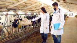 &Epsilon;&pi;ί&delta;&omicron;&mu;&alpha; &epsilon;&pi;&iota;&kappa;ί&nu;&delta;&upsilon;&nu;&eta;&sigmaf; &kappa;&alpha;&iota; &alpha;&nu;&theta;&upsilon;&gamma;&iota;&epsilon;&iota;&nu;ή&sigmaf; &epsilon;&rho;&gamma;&alpha;&sigma;ί&alpha;&sigmaf; &gamma;&iota;&alpha; &tau;&omicron;&upsilon;&sigmaf; &kappa;&tau;&eta;&nu;&iota;ά&tau;&rho;&omicron;&upsilon;&sigmaf; &tau;&omega;&nu; &Pi;&epsilon;&rho;&iota;&phi;&epsilon;&rho;&epsilon;&iota;ώ&nu;