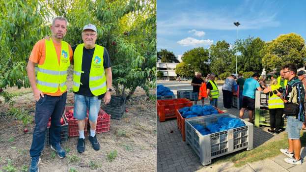 &Nu;&epsilon;&kappa;&tau;&alpha;&rho;ί&nu;&iota;&alpha; &gamma;&iota;&alpha; &tau;&omicron;&upsilon;&sigmaf; &sigma;&upsilon;&mu;&pi;&omicron;&lambda;ί&tau;&epsilon;&sigmaf; &pi;&omicron;&upsilon; έ&chi;&omicron;&upsilon;&nu; &alpha;&nu;ά&gamma;&kappa;&eta; &ndash; &Eta; &pi;&rho;&omega;&tau;&omicron;&beta;&omicron;&upsilon;&lambda;ί&alpha; &pi;&alpha;&rho;&alpha;&gamma;&omega;&gamma;&omicron;ύ &tau;&eta;&sigmaf; &Gamma;&iota;ά&nu;&nu;&omicron;&upsilon;&lambda;&eta;&sigmaf;