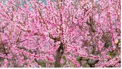 &Kappa;&omicron;&iota;&nu;&omicron;&pi;&omicron;ί&eta;&sigma;&eta; &Pi;&omicron;&rho;&iota;&sigma;&mu;ά&tau;&omega;&nu; &Epsilon;&Lambda;.&Gamma;.&Alpha;. &tau;&eta;&sigmaf; &Kappa;&omicron;&iota;&nu;ό&tau;&eta;&tau;&alpha;&sigmaf; &Delta;&Iota;&Alpha;&Beta;&Alpha;&Tau;&Omicron;&Upsilon; &alpha;&pi;ό &tau;&omicron; &Pi;&Alpha;&Gamma;&Epsilon;&Tau;&Omicron; &tau;&eta;&sigmaf; 30/3/2023