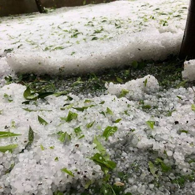 &Sigma;&eta;&mu;&epsilon;&rho;&iota;&nu;ή &kappa;&alpha;&tau;&alpha;&sigma;&tau;&rho;&omicron;&phi;&iota;&kappa;ή &chi;&alpha;&lambda;&alpha;&zeta;ό&pi;&tau;&omega;&sigma;&eta; &sigma;&epsilon; &rho;&omicron;&delta;ά&kappa;&iota;&nu;&alpha;,&nu;&epsilon;&kappa;&tau;&alpha;&rho;ί&nu;&iota;&alpha;, &epsilon;&lambda;&iota;έ&sigmaf; &kappa;&alpha;&iota; &alpha;&mu;&pi;έ&lambda;&iota;&alpha; &sigma;&tau;&eta;&nu; &Iota;&tau;&alpha;&lambda;ί&alpha; (&beta;ί&nu;&tau;&epsilon;&omicron; &kappa;&alpha;&iota; &phi;&omega;&tau;&omicron;&gamma;&rho;&alpha;&phi;ί&epsilon;&sigmaf;)