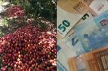 &Epsilon;&nu; &alpha;&nu;&alpha;&mu;&omicron;&nu;ή &alpha;&nu;&alpha;&kappa;&omicron;&iota;&nu;ώ&sigma;&epsilon;&omega;&nu; &kappa;&alpha;&iota; ά&mu;&epsilon;&sigma;&eta;&sigmaf; &lambda;ύ&sigma;&eta;&sigmaf; &tau;&omega;&nu; &phi;&lambda;&epsilon;&gamma;ό&nu;&tau;&omega;&nu; &zeta;&eta;&tau;&eta;&mu;ά&tau;&omega;&nu; &tau;&omega;&nu; &rho;&omicron;&delta;&alpha;&kappa;&iota;&nu;&omicron;&pi;&alpha;&rho;&alpha;&gamma;&omega;&gamma;ώ&nu; (&Epsilon;&mu;&pi;ά&rho;&gamma;&kappa;&omicron;-&Beta;&rho;&omicron;&chi;&omicron;&pi;&tau;ώ&sigma;&epsilon;&iota;&sigmaf;)