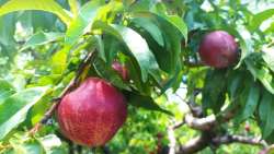 Ά&mu;&epsilon;&sigma;&epsilon;&sigmaf; &epsilon;&nu;έ&rho;&gamma;&epsilon;&iota;&epsilon;&sigmaf; &alpha;&pi;ό &tau;&omicron;&nu; &Epsilon;&Lambda;&Gamma;&Alpha; &gamma;&iota;&alpha; &tau;&eta;&nu; &epsilon;&kappa;&tau;ί&mu;&eta;&sigma;&eta; &tau;&omega;&nu; &zeta;&eta;&mu;&iota;ώ&nu; &alpha;&pi;ό &tau;&iota;&sigmaf; έ&nu;&tau;&omicron;&nu;&epsilon;&sigmaf; &beta;&rho;&omicron;&chi;&omicron;&pi;&tau;ώ&sigma;&epsilon;&iota;&sigmaf; &zeta;ή&tau;&eta;&sigma;&epsilon; &omicron; &Lambda;ά&zeta;&alpha;&rho;&omicron;&sigmaf; &Tau;&sigma;&alpha;&beta;&delta;&alpha;&rho;ί&delta;&eta;&sigmaf;