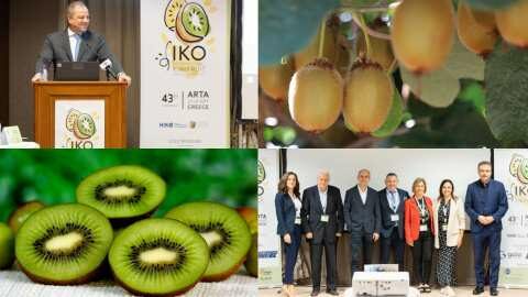 &Alpha;&kappa;&tau;&iota;&nu;ί&delta;&iota;&omicron;: &Pi;&omega;&sigmaf; &epsilon;&xi;&epsilon;&lambda;ί&sigma;&sigma;&epsilon;&tau;&alpha;&iota; &eta; &epsilon;&mu;&pi;&omicron;&rho;&iota;&kappa;ή &sigma;&epsilon;&zeta;ό&nu; &kappa;&alpha;&iota; &pi;&omicron;&iota;&alpha; &tau;&alpha; &kappa;ύ&rho;&iota;&alpha; &sigma;&eta;&mu;&epsilon;ί&alpha; &tau;&eta;&sigmaf; &phi;&epsilon;&tau;&iota;&nu;ή&sigmaf; &sigma;&epsilon;&zeta;ό&nu; | &Alpha;&gamma;&rho;&omicron;&tau;&iota;&kappa;ά &nu;έ&alpha; &kappa;&alpha;&iota; &epsilon;&iota;&delta;ή&sigma;&epsilon;&iota;&sigmaf; imathiotikigi.gr