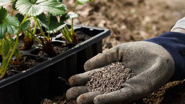 &Phi;&omicron;&upsilon;&lambda;&beta;&iota;&kappa;ά ή &Chi;&omicron;&upsilon;&mu;&iota;&kappa;ά &omicron;&xi;έ&alpha;; &Tau;&iota; &chi;&rho;&epsilon;&iota;ά&zeta;&omicron;&nu;&tau;&alpha;&iota; &tau;&alpha; &phi;&upsilon;&tau;ά &sigma;&alpha;&sigmaf;;