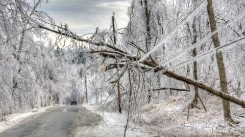 Έ&kappa;&tau;&alpha;&kappa;&tau;&omicron; &delta;&epsilon;&lambda;&tau;ί&omicron; &epsilon;&pi;&iota;&delta;&epsilon;ί&nu;&omega;&sigma;&eta;&sigmaf; &kappa;&alpha;&iota;&rho;&omicron;ύ: Έ&rho;&chi;&omicron;&nu;&tau;&alpha;&iota; &kappa;&alpha;&tau;&alpha;&iota;&gamma;ί&delta;&epsilon;&sigmaf; &kappa;&alpha;&iota; &pi;&tau;ώ&sigma;&eta; &tau;&eta;&sigmaf; &theta;&epsilon;&rho;&mu;&omicron;&kappa;&rho;&alpha;&sigma;ί&alpha;&sigmaf;