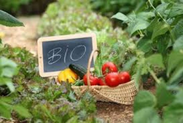 &Pi;&rho;&omicron;&sigma;&omega;&rho;&iota;&nu;ά &alpha;&pi;&omicron;&tau;&epsilon;&lambda;έ&sigma;&mu;&alpha;&tau;&alpha; &alpha;&xi;&iota;&omicron;&lambda;ό&gamma;&eta;&sigma;&eta;&sigmaf; &alpha;&iota;&tau;ή&sigma;&epsilon;&omega;&nu;  &gamma;&iota;&alpha; &tau;&eta;&nu; &epsilon;&nu;ί&sigma;&chi;&upsilon;&sigma;&eta; &tau;&eta;&sigmaf; &Beta;&iota;&omicron;&lambda;&omicron;&gamma;&iota;&kappa;ή&sigmaf; &Gamma;&epsilon;&omega;&rho;&gamma;ί&alpha;&sigmaf;