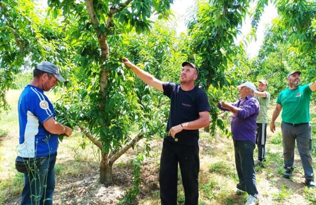 &Epsilon;&Delta;&Omicron;&Pi;: &Epsilon;&nu;&eta;&mu;έ&rho;&omega;&sigma;&eta; &gamma;&iota;&alpha; &tau;&eta;&nu; &pi;&alpha;&rho;ά&tau;&alpha;&sigma;&eta; &mu;&epsilon;&tau;ά&kappa;&lambda;&eta;&sigma;&eta;&sigmaf; &epsilon;&rho;&gamma;&alpha;&tau;ώ&nu; &gamma;&eta;&sigmaf;