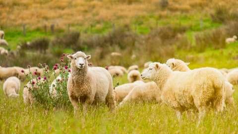 &Mu;έ&tau;&rho;&alpha; &sigma;&epsilon; Ά&nu;&delta;&rho;&omicron; &kappa;&alpha;&iota; &Tau;ή&nu;&omicron; &gamma;&iota;&alpha; &tau;&eta;&nu; &alpha;&nu;&tau;&iota;&mu;&epsilon;&tau;ώ&pi;&iota;&sigma;&eta; &tau;&eta;&sigmaf; &epsilon;&upsilon;&lambda;&omicron;&gamma;&iota;ά&sigmaf; &tau;&omega;&nu; &alpha;&iota;&gamma;&omicron;&pi;&rho;&omicron;&beta;ά&tau;&omega;&nu;