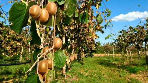 &Gamma;&epsilon;&omega;&rho;&gamma;&iota;&kappa;έ&sigmaf; &pi;&rho;&omicron;&epsilon;&iota;&delta;&omicron;&pi;&omicron;&iota;ή&sigma;&epsilon;&iota;&sigmaf; &gamma;&iota;&alpha; &tau;&eta;&nu; &Alpha;&kappa;&tau;&iota;&nu;&iota;&delta;&iota;ά | &Alpha;&gamma;&rho;&omicron;&tau;&iota;&kappa;ά &nu;έ&alpha; IMATHIOTIKIGI.GR