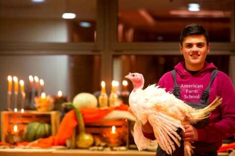 &Eta; &laquo;&beta;&alpha;&sigma;ί&lambda;&iota;&sigma;&sigma;&alpha;&raquo; &tau;&omicron;&upsilon; &Chi;&rho;&iota;&sigma;&tau;&omicron;&upsilon;&gamma;&epsilon;&nu;&nu;&iota;ά&tau;&iota;&kappa;&omicron;&upsilon; &tau;&rho;&alpha;&pi;&epsilon;&zeta;&iota;&omicron;ύ