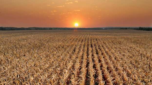 &Pi;&Omicron;&Gamma;&Epsilon;&Delta;&Upsilon;: Ά&sigma;&chi;&epsilon;&tau;&omicron;&iota; &laquo;&mu;&epsilon;&tau;&alpha;&rho;&rho;&upsilon;&theta;&mu;&iota;&sigma;&tau;έ&sigmaf;&raquo; &epsilon;&iota;&delta;&iota;&kappa;&omicron;ί &sigma;&tau;&iota;&sigmaf; &epsilon;&xi;&alpha;&gamma;&gamma;&epsilon;&lambda;ί&epsilon;&sigmaf;