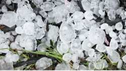 &Zeta;&eta;&mu;&iota;έ&sigmaf; &sigma;&epsilon; &kappa;&alpha;&lambda;&lambda;&iota;έ&rho;&gamma;&epsilon;&iota;&epsilon;&sigmaf; &alpha;&pi;ό έ&nu;&tau;&omicron;&nu;&eta; &chi;&alpha;&lambda;&alpha;&zeta;ό&pi;&tau;&omega;&sigma;&eta; &sigma;&tau;&eta; &Lambda;ά&rho;&iota;&sigma;&alpha;