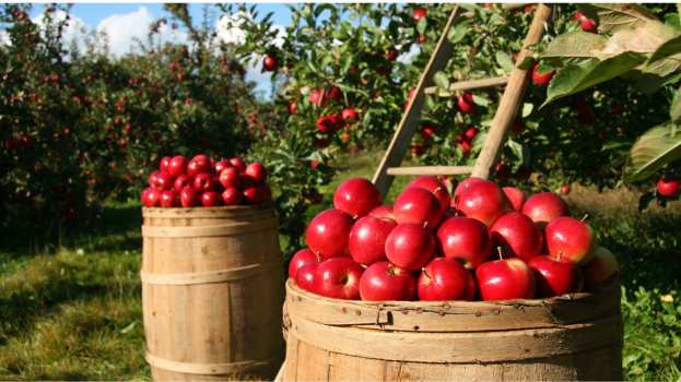 &Gamma;&epsilon;&omega;&rho;&gamma;&iota;&kappa;έ&sigmaf; &pi;&rho;&omicron;&epsilon;&iota;&delta;&omicron;&pi;&omicron;&iota;ή&sigma;&epsilon;&iota;&sigmaf; &gamma;&iota;&alpha; &tau;&eta; &Mu;&eta;&lambda;&iota;ά