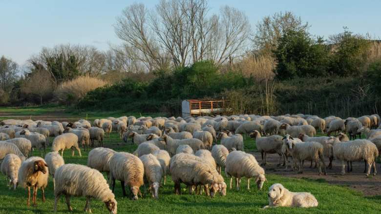 &Epsilon;&Epsilon;&Epsilon;&Delta;&Epsilon;: &Epsilon;&pi;&iota;&kappa;&alpha;&iota;&rho;&omicron;&pi;&omicron;&iota;&eta;&mu;έ&nu;&alpha; &sigma;&upsilon;&gamma;&kappa;&epsilon;&nu;&tau;&rho;&omega;&tau;&iota;&kappa;ά &sigma;&tau;&omicron;&iota;&chi;&epsilon;ί&alpha; &gamma;&iota;&alpha; &tau;&eta;&nu; &epsilon;&upsilon;&lambda;&omicron;&gamma;&iota;ά &alpha;&iota;&gamma;&omicron;&pi;&rho;&omicron;&beta;ά&tau;&omega;&nu;