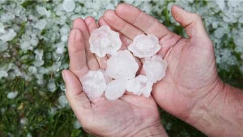 &Alpha;&nu;&tau;&iota;&chi;&alpha;&lambda;&alpha;&zeta;&iota;&kappa;ή &pi;&rho;&omicron;&sigma;&tau;&alpha;&sigma;ί&alpha; &alpha;&pi;ό &alpha;έ&rho;&omicron;&sigmaf; - Ά&nu;&nu;&alpha; &Mu;ά&nu;&eta;: &Sigma;&tau;&omicron;&nu; &delta;&iota;&alpha;&gamma;&omega;&nu;&iota;&sigma;&mu;ό &theta;&alpha; &sigma;&upsilon;&mu;&pi;&epsilon;&rho;&iota;&lambda;&eta;&phi;&theta;&omicron;ύ&nu; &kappa;&alpha;&iota; 200.000 &sigma;&tau;&rho;έ&mu;&mu;&alpha;&tau;&alpha; &sigma;&tau;&eta;&nu; &Pi;&iota;&epsilon;&rho;ί&alpha;
