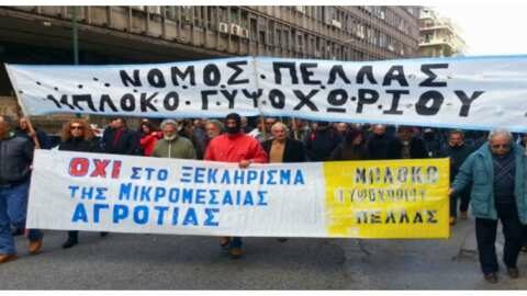 &Kappa;ά&lambda;&epsilon;&sigma;&mu;&alpha; &gamma;&iota;&alpha; &sigma;&upsilon;&mu;&mu;&epsilon;&tau;&omicron;&chi;ή &alpha;&gamma;&rho;&omicron;&tau;ώ&nu; &sigma;&tau;&eta; &sigma;ύ&sigma;&kappa;&epsilon;&psi;&eta; &sigma;&tau;&omicron; &Gamma;&upsilon;&psi;&omicron;&chi;ώ&rho;&iota; &alpha;&pi;ό &tau;&omicron;&nu; &Alpha;&gamma;&rho;&omicron;&kappa;&tau;&eta;&nu;&omicron;&tau;&rho;&omicron;&phi;&iota;&kappa;ό &Sigma;ύ&lambda;&lambda;&omicron;&gamma;&omicron; &Pi;έ&lambda;&lambda;&alpha;&sigmaf; &ldquo;&Epsilon;&Nu;&Omicron;&Tau;&Eta;&Tau;&Alpha;&rdquo;