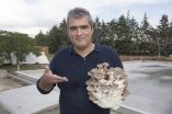 &Tau;&alpha; &sigma;&pi;ά&nu;&iota;&alpha; &mu;&alpha;&nu;&iota;&tau;ά&rho;&iota;&alpha; &alpha;&pi;ό &tau;&alpha; &Delta;&iota;&alpha;&beta;&alpha;&tau;ά