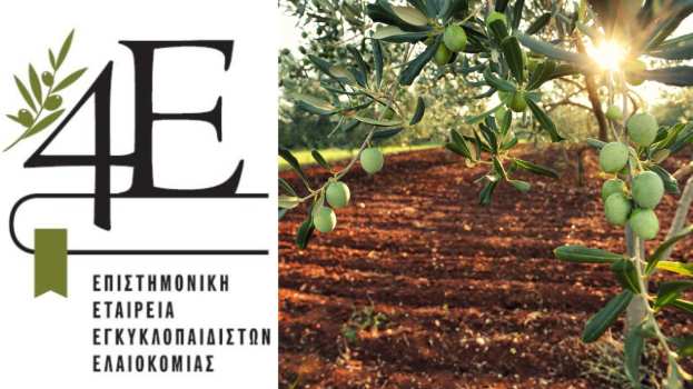 &Pi;&omicron;&iota;&epsilon;&sigmaf; &omicron;&iota; &tau;&rho;&epsilon;&iota;&sigmaf; &epsilon;&pi;&iota;&sigma;&tau;&eta;&mu;&omicron;&nu;&iota;&kappa;έ&sigmaf; &alpha;&nu;&alpha;&kappa;&omicron;&iota;&nu;ώ&sigma;&epsilon;&iota;&sigmaf; &kappa;&alpha;&tau;&alpha;&tau;έ&theta;&eta;&kappa;&alpha;&nu; &kappa;&alpha;&iota; &sigma;&upsilon;&zeta;&eta;&tau;ή&theta;&eta;&kappa;&alpha;&nu; &sigma;&tau;&eta; &Gamma;&epsilon;&nu;&iota;&kappa;ή &Sigma;&upsilon;&nu;έ&lambda;&epsilon;&upsilon;&sigma;&eta; &tau;&eta;&sigmaf; 4&Epsilon;