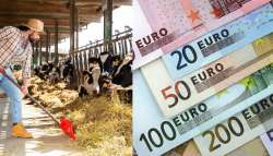 &Epsilon;&xi;&iota;&sigma;&omega;&tau;&iota;&kappa;ή &alpha;&pi;&omicron;&zeta;&eta;&mu;ί&omega;&sigma;&eta;: &Alpha;&nu;&alpha;&kappa;&omicron;ί&nu;&omega;&sigma;&eta; &Omicron;&Pi;&Epsilon;&Kappa;&Epsilon;&Pi;&Epsilon; &gamma;&iota;&alpha; &mu;&epsilon;&tau;&alpha;&kappa;&iota;&nu;&omicron;ύ&mu;&epsilon;&nu;&omicron;&upsilon;&sigmaf; &kappa;&tau;&eta;&nu;&omicron;&tau;&rho;ό&phi;&omicron;&upsilon;&sigmaf;